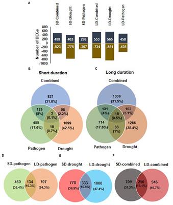 Concurrent Drought Stress and Vascular Pathogen Infection Induce Common and Distinct Transcriptomic Responses in Chickpea